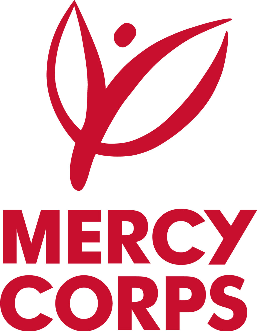 Regional Market Systems and Economic Opportunities Advisor – MENAE