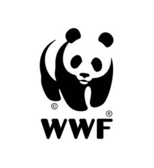 Financieel Medewerker